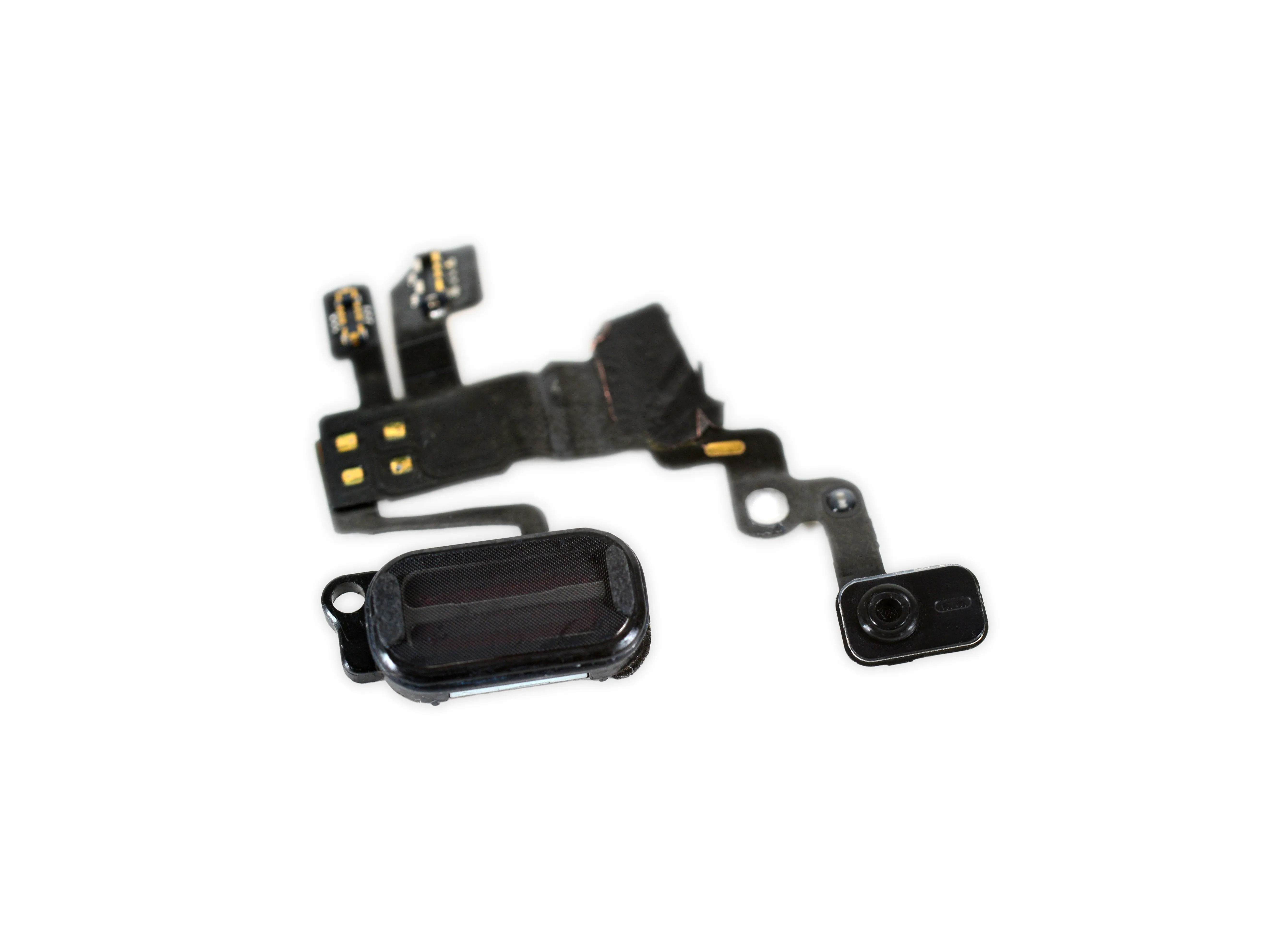 Разбор Apple Watch Series 2: шаг 12, изображение 1 из 3