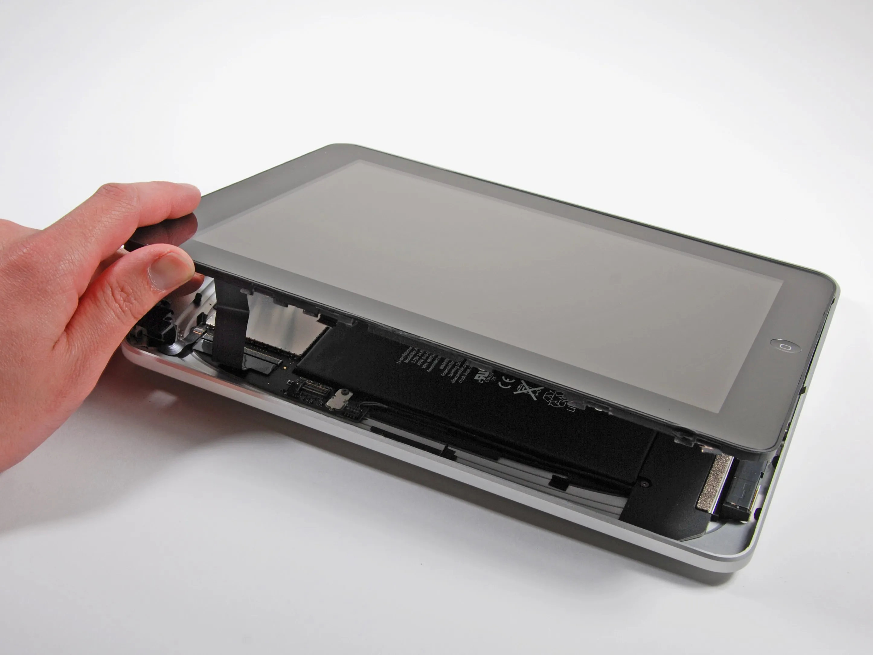 Разборка iPad Wi-Fi: шаг 6, изображение 1 из 2