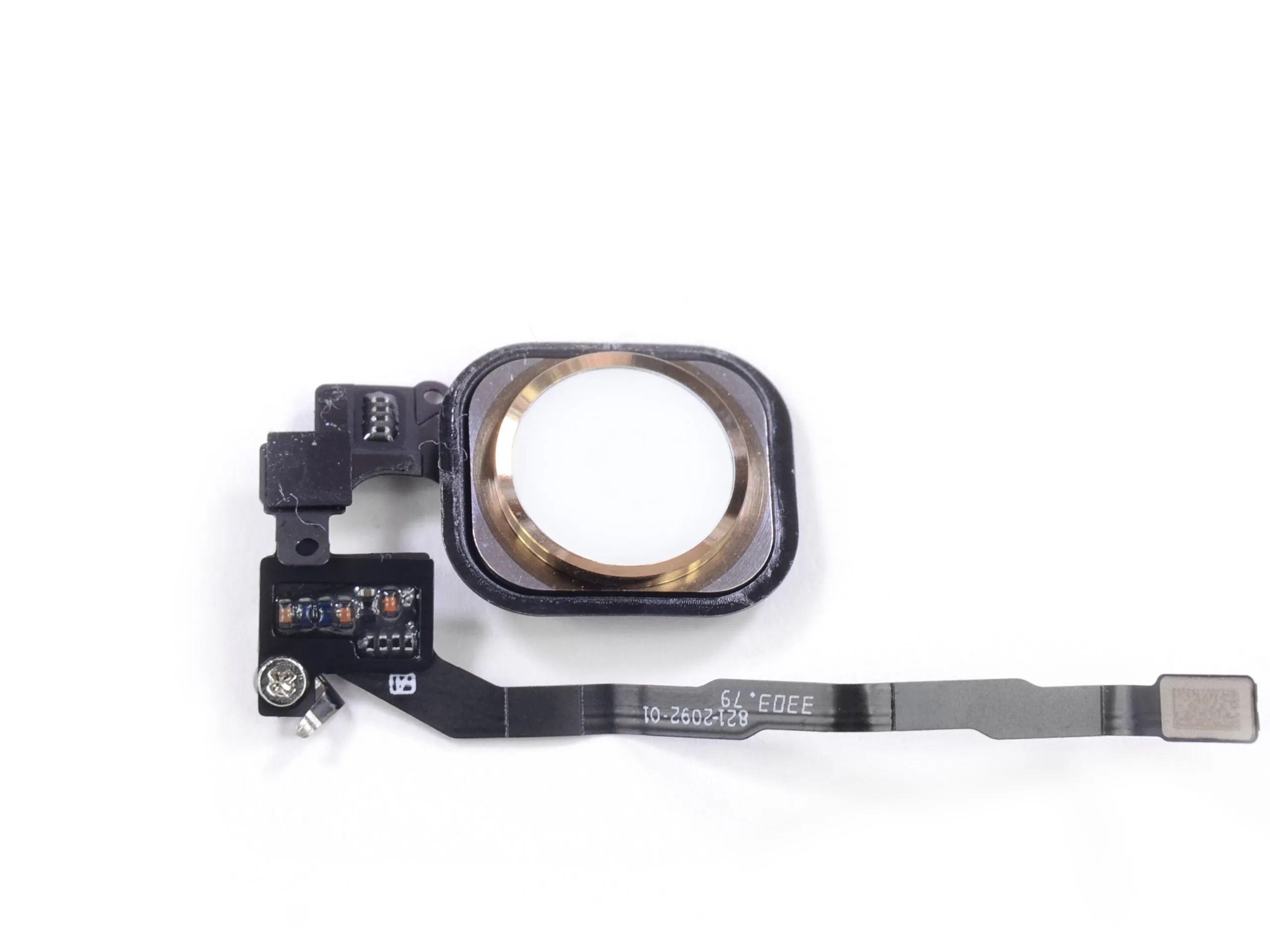 Разборка iPhone 5s: шаг 9, изображение 2 из 3