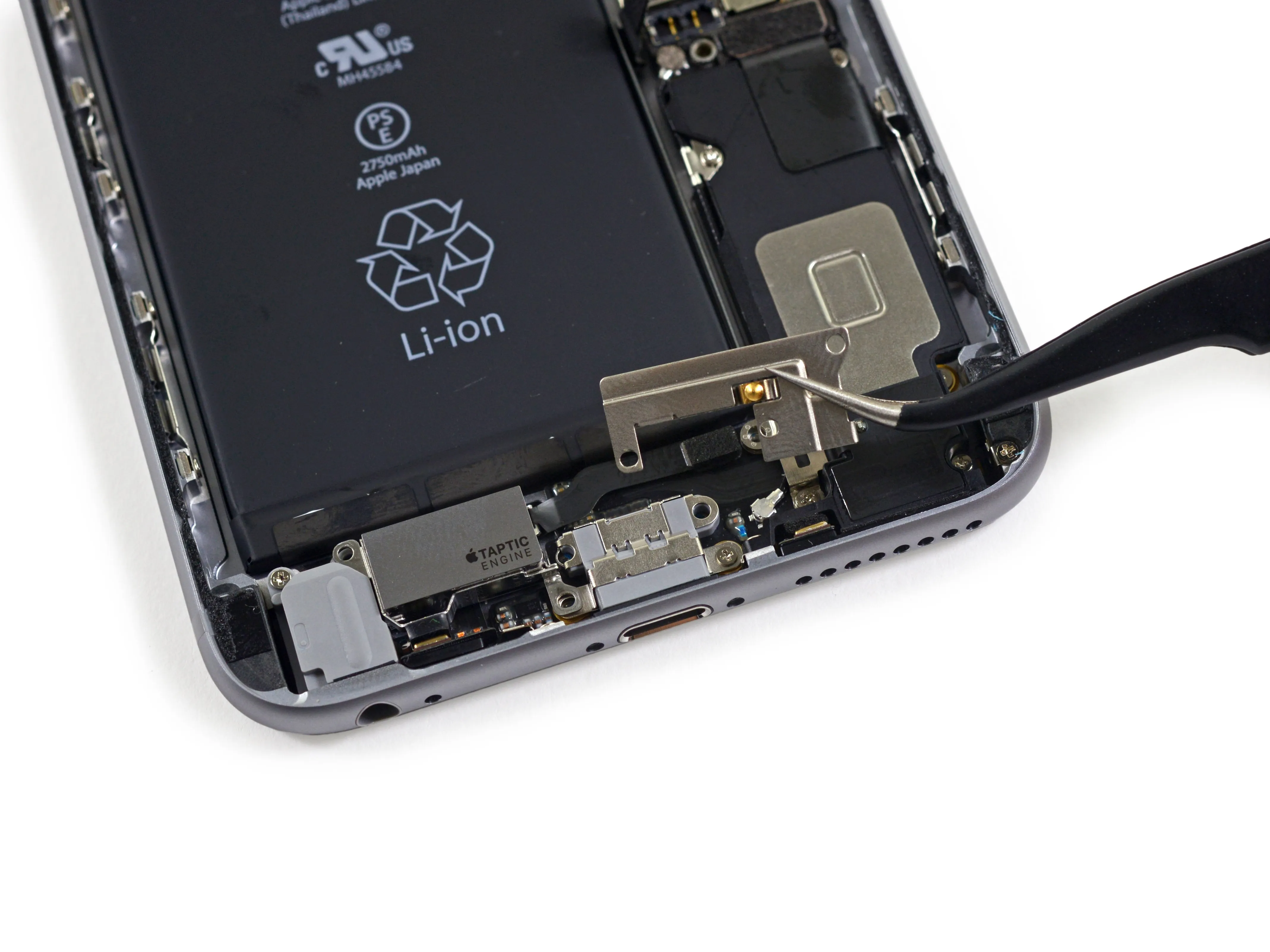 Разборка iPhone 6s Plus: шаг 7, изображение 1 из 3