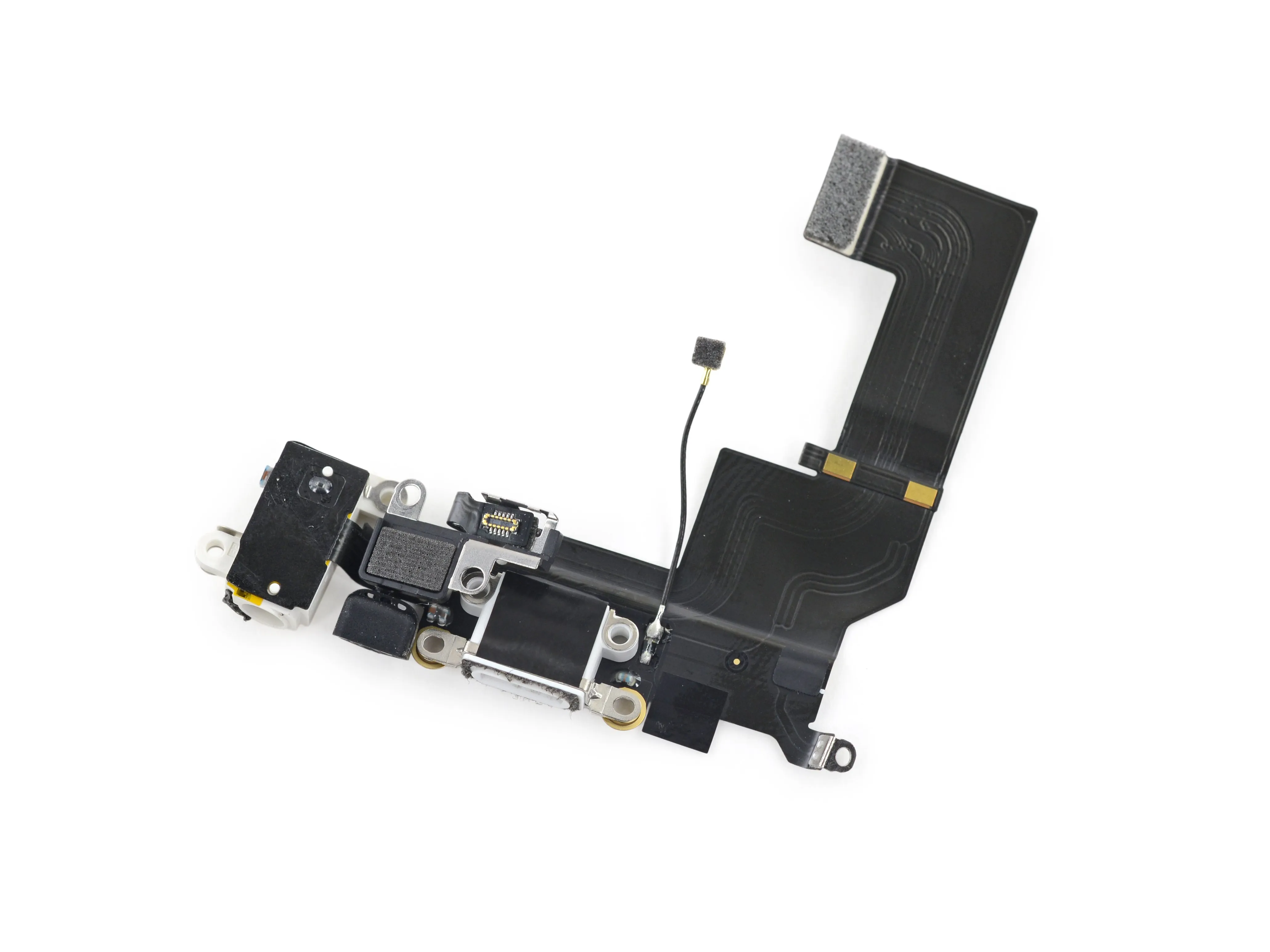 Разборка iPhone SE: шаг 10, изображение 2 из 2